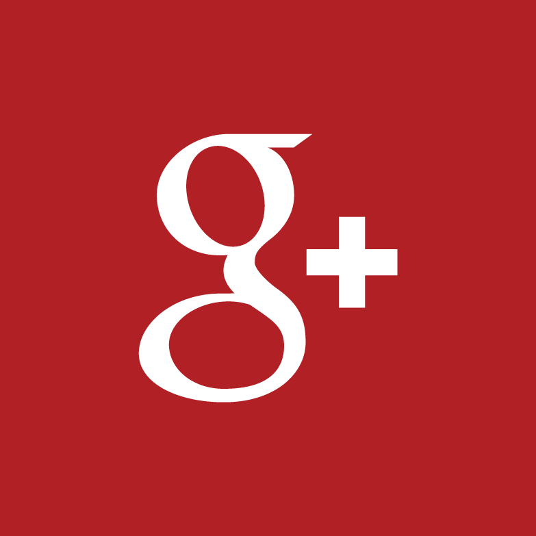 Google+ Icon