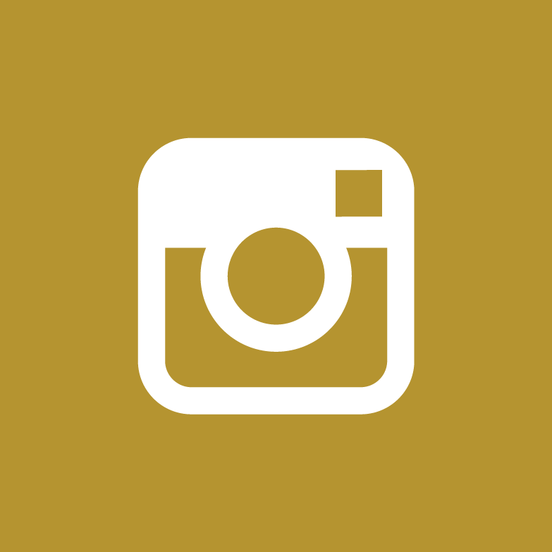 Instagram Icon