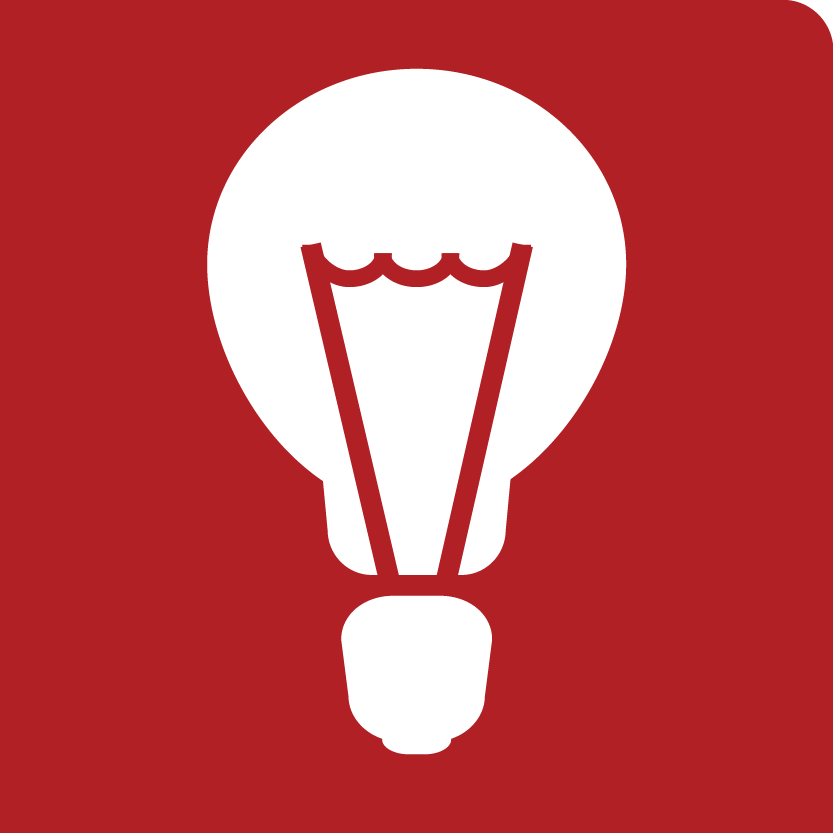 Light Bulb Icon