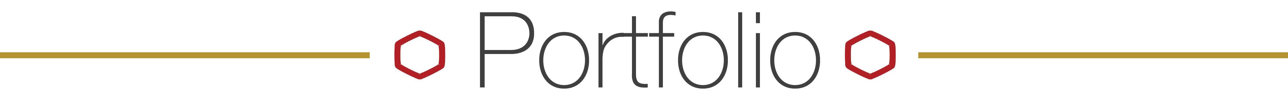 Portfolio Line Break
