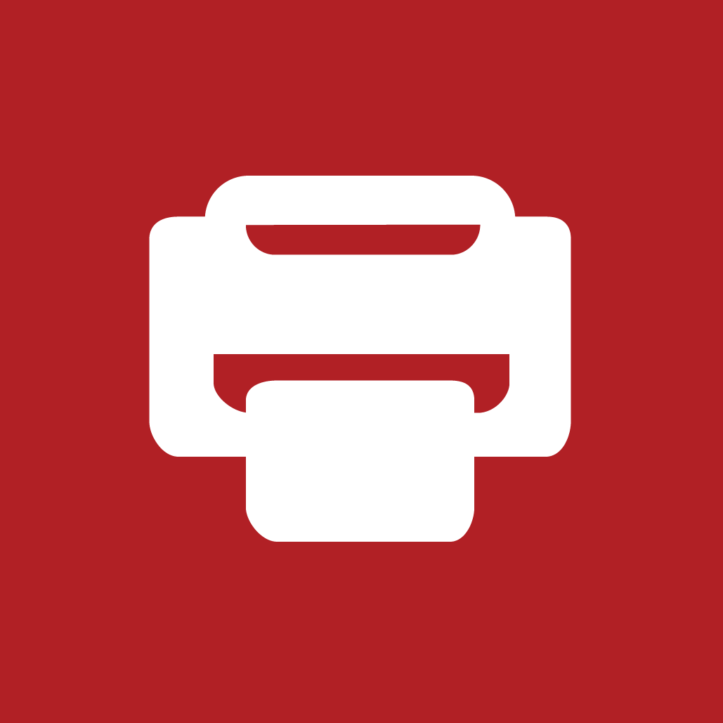 Print Icon